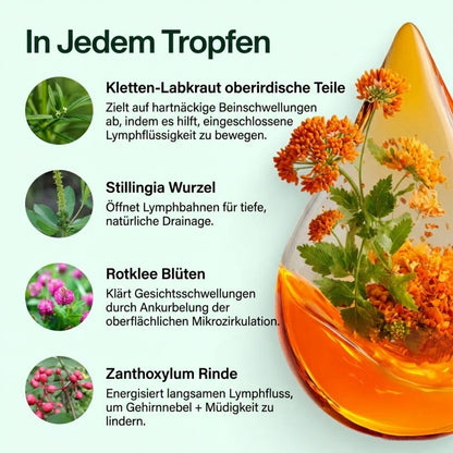 Lymphara Wellness-Tropfen